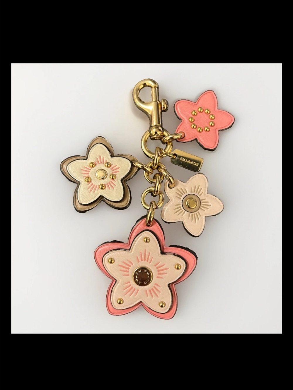 Coach Gold/Pink Multi, Leather Wildflower Mix Cluster Bag Charm 2021 Style:C1687